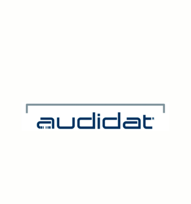 Logo de Audidat